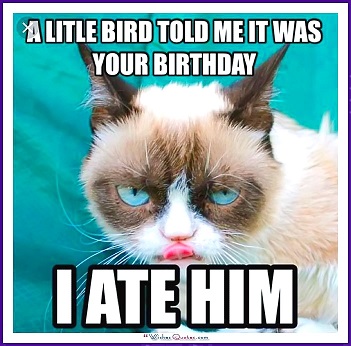 Birdy Birthday.jpg
